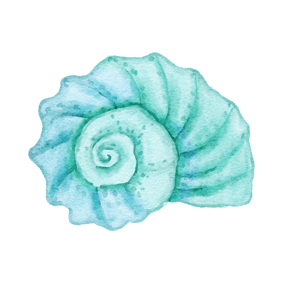 shell
